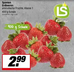 L. STROETMANN GROSSMARKT Spanien Erdbeeren Angebot