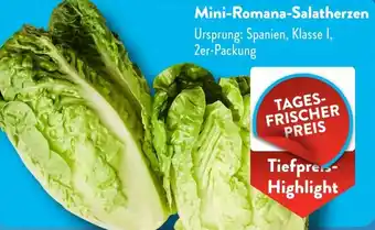 Aldi Süd Mini-Romana-Salatherzen Angebot