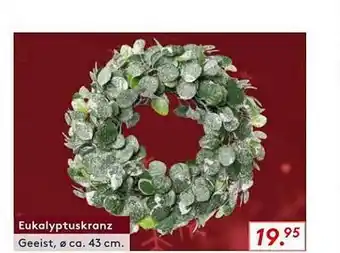 Möbel Rieger Eukalyptuskranz Angebot