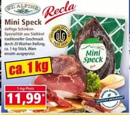 Norma ST. ALPINE Mini Speck Angebot