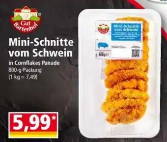 Norma Gut Bartenhof Mini-Schnitte vom Schwein Angebot