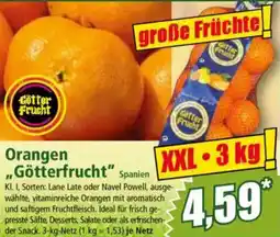 Norma Orangen ,,Götterfrucht Angebot