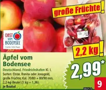 Norma Äpfel vom Bodensee Angebot