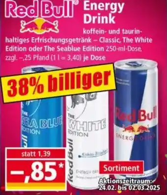 Norma Red Bull Energy Angebot