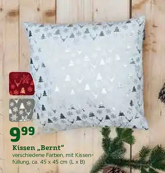 Pflanzen Kölle Kissen „bernt” Angebot