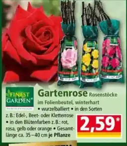 Norma FINEST GARDEN FINEST Gartenrose Angebot