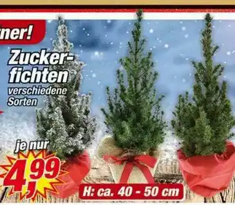 Posten Börse Zuckerfichten Angebot