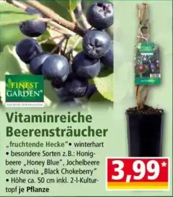 Norma FINEST GARDEN Vitaminreiche Beerensträucher Angebot