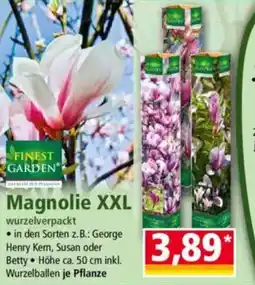 Norma FINEST GARDEN Magnolie XXL Angebot