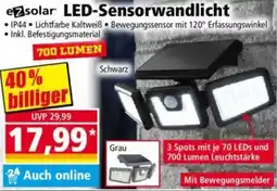 Norma eZsolar LED-Sensorwandlicht Angebot