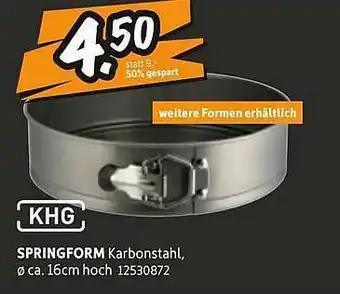 SCONTO Khg Springform Angebot