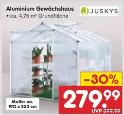 Netto Marken-Discount JUSKYS Aluminium Gewächshaus Angebot