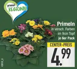 E-Center Primeln Angebot