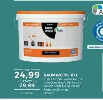 BBM Baumarkt Raiumweiss Angebot