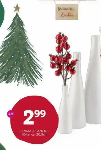 Mömax Vase „plancio“ Angebot