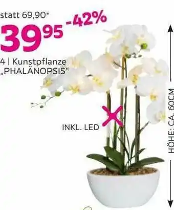 Mömax Kunstpflanze „phalänopsis“ Angebot