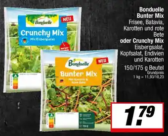 L. STROETMANN GROSSMARKT Bonduelle Bunter Mix oder Crunchy Mix Eisbergsalat, Kopfsalat, Endivien und Karotten 150/175 g Beutel Angebot