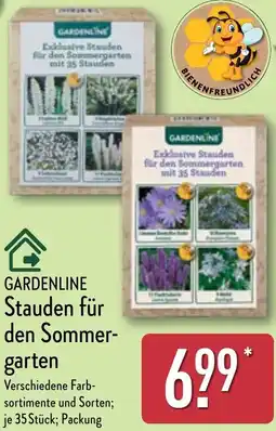 Aldi Nord GARDENLINE Stauden für den Sommergarten Angebot