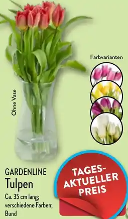 Aldi Nord GARDENLINE Tulpen Angebot