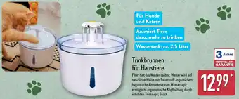 Aldi Nord Trinkbrunnen für Haustiere Angebot