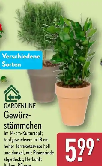 Aldi Nord GARDENLINE Gewürzstämmchen Angebot