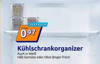 Action Kühlschrankorganizer Angebot