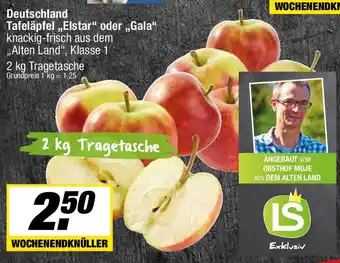 L. STROETMANN GROSSMARKT Deutschland Tafeläpfel,,Elstar" oder „Gala“ Angebot