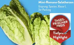 NETTO Mini-Romana-Salatherzen Angebot