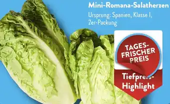 NETTO Mini-Romana-Salatherzen Angebot