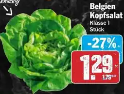 Hit Belgien Kopfsalat Angebot