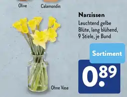 NETTO Narzissen Angebot