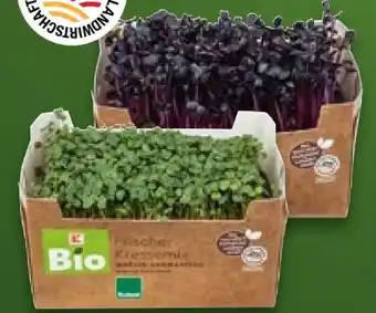 Kaufland Bio Kresse Mix Angebot