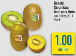 diska Jingold Riesenkiwi Gold oder Grün Angebot