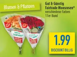 diska Gut & Günstig Fairtrade Moosrosen Angebot