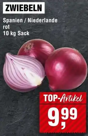 Handelshof Zwiebeln Angebot