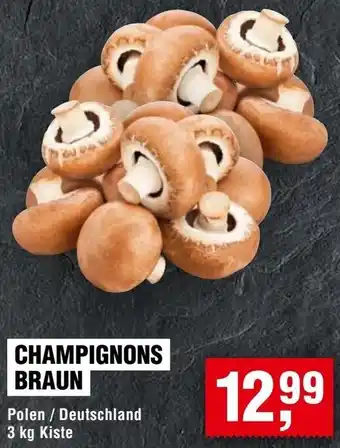 Handelshof Champignons braun Angebot