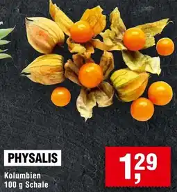 Handelshof Physalis Angebot