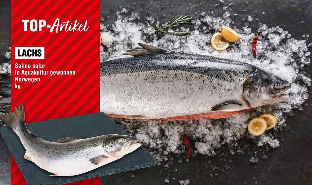 Alle Lachs Angebote Entdecken Sie das günstigste Lachs Angebot!