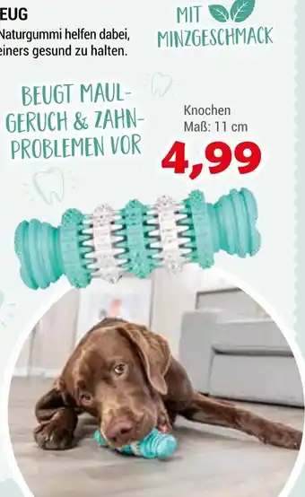 Zookauf Trixie knochen Angebot