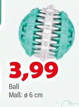 Zookauf Ball Angebot