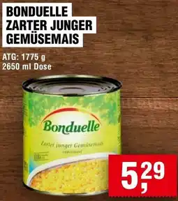 Handelshof Bonduelle zarter junger gemüsemais Angebot