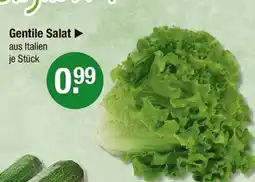 V Markt Gentile salat Angebot