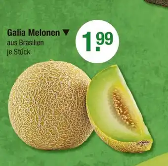 V Markt Galia melonen Angebot