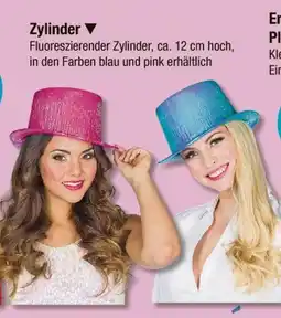 V Markt Zylinder Angebot