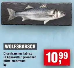 Handelshof Wolfsbarsch Angebot