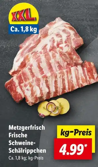 Lidl Metzgerfrisch frische schweine-schälrippchen Angebot