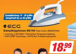 Expert ECG Dampfbügeleisen NZ190 Angebot