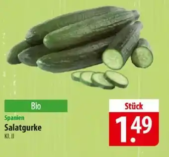 Famila Nord Ost Spanien Salatgurke Angebot