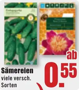 B1 Discount Baumarkt Sämereien Angebot