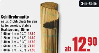 B1 Discount Baumarkt Schilfrohrmatte Angebot